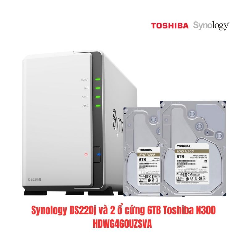 Combo NAS Synology DS220j và 2 ổ cứng 6TB Toshiba N300 HDWG460UZSVA, cho cá nhân-gia đình